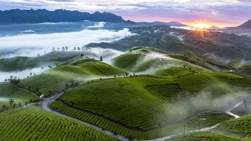 产地受欢迎度示意图