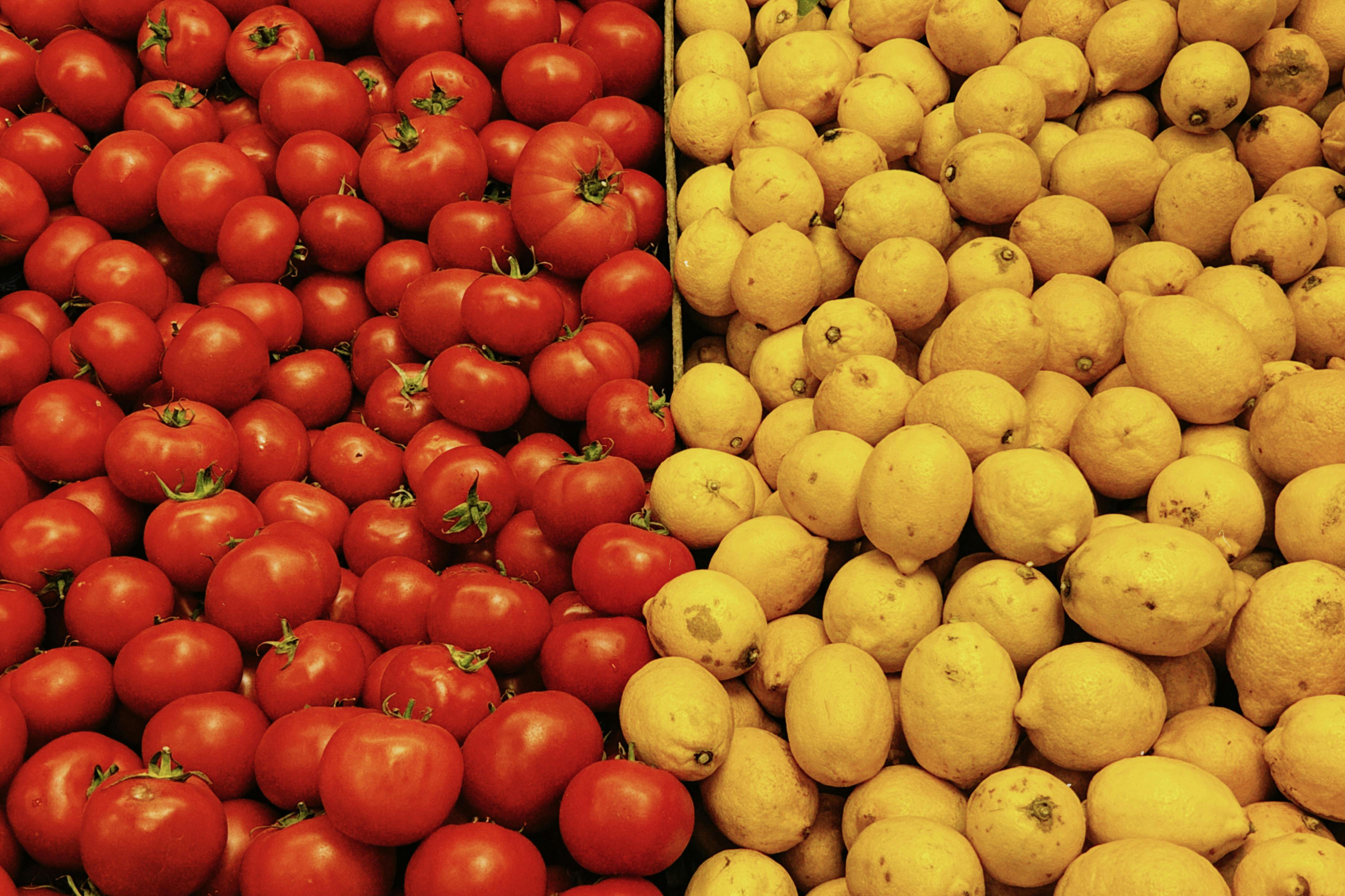 绿原酸分子结构或相关植物图示