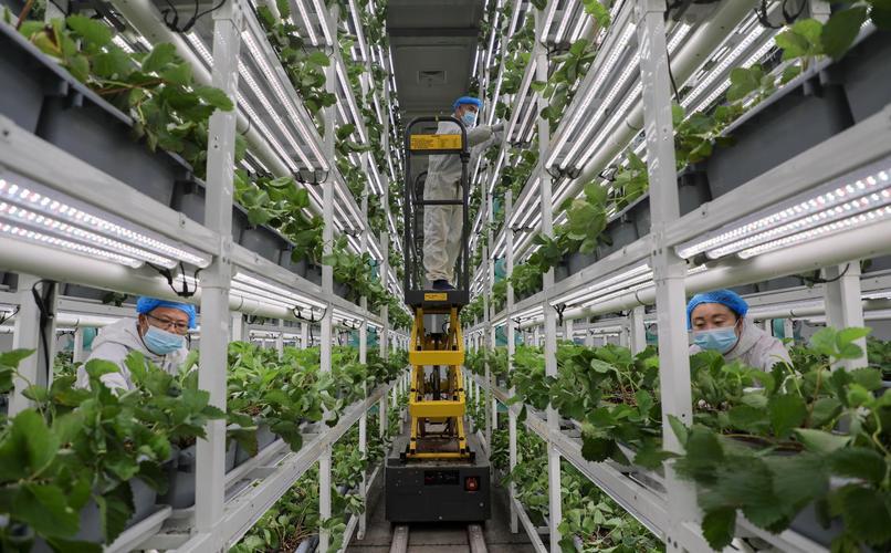 翠谷植物提取产业园区 illustrative image