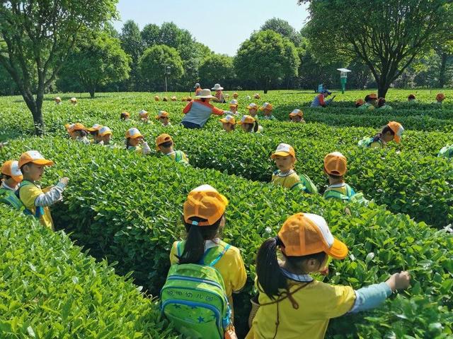 杜仲文化体验园 illustrative image