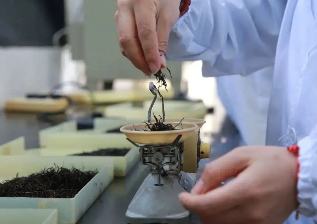 杜仲综合利用实验室 illustrative image