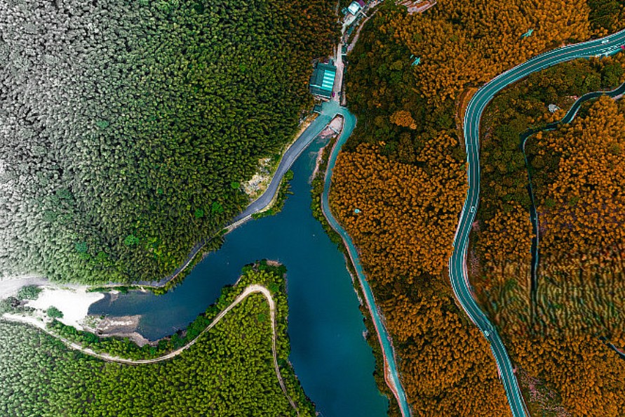 代表四季元素的茶饮场景图示
